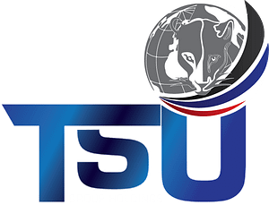 TSU Group Holdings Logo
